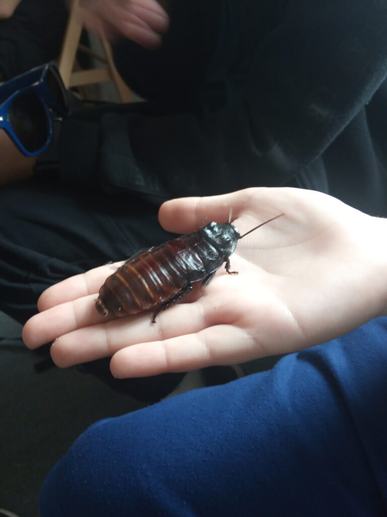 Přírodopisná exkurze
