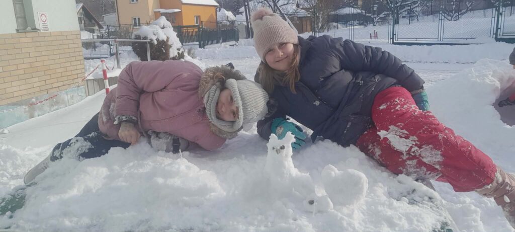 Ledové království