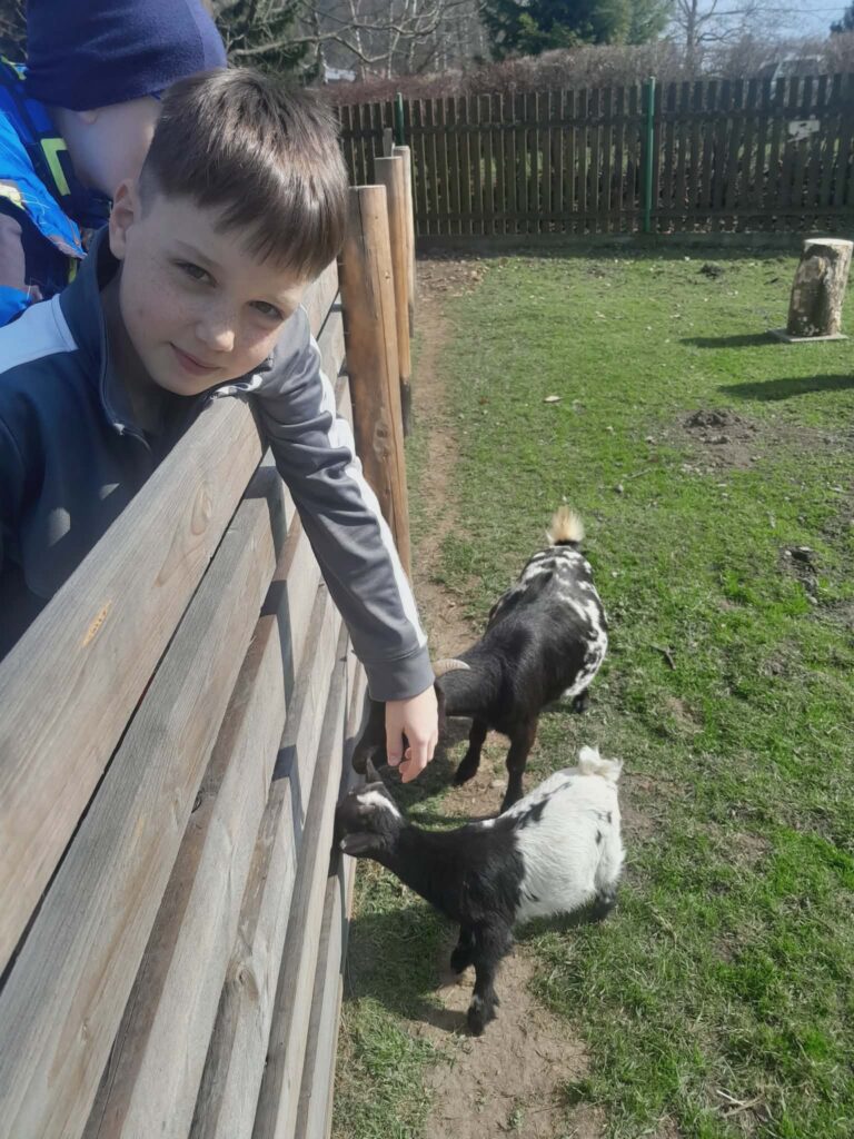 Jarní pozdrav z Ráje dřevěných soch: Křtiny kůzlátka a hry v přírodě 🐐☀️🐐